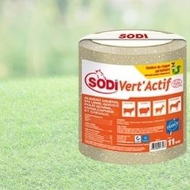 Bloc à lécher pour bovins - SodiVert’Actif - salins-agri - pour ovins / pour caprins / pour chevaux