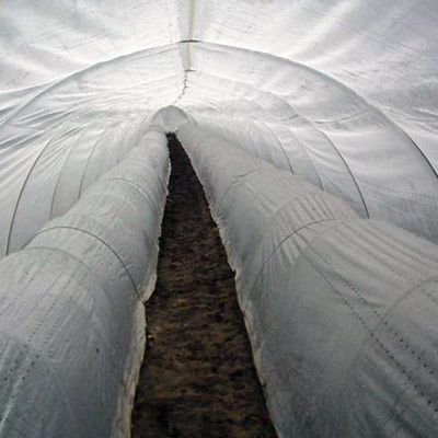 Bâche pour tunnel - Dalin Pocket - daiosplastics - en plastique