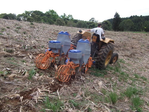 Semoir en ligne conventionnel - plantknapik - à 2 rangs / avec attelage trois points / non-labour