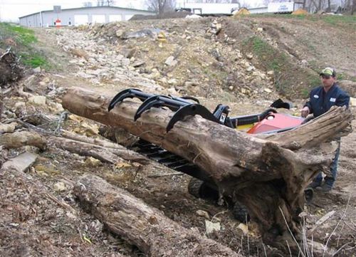 Pince de troncs agricole - paladin attachments - pour chargeuse