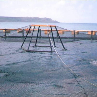 Filet anti-oiseaux - Toford - pour la pisciculture
