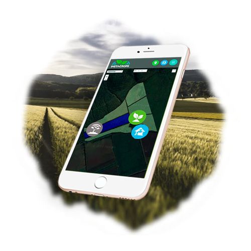 Application mobile de gestion - CROP ADVISOR - INSTACROPS - de gestion de données / agricole