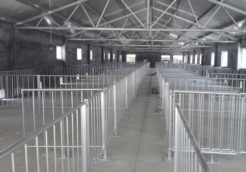 Cage de gestation - Finishing Stall_2 - Qingdao Deba Brother Machinery Co.,Ltd