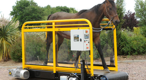 Tapis roulant équin - Hippotrainer +  - hippocenter