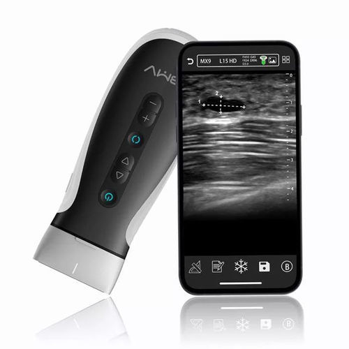 Scanner à ultrason portable - MX9 - bmv-vet - pour grands animaux / pour petit animal / convexe