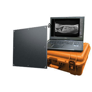 Capteur plan DR pour radiographie vétérinaire - DR Wizard EZ - Diagnostic Imaging Systems - 17 x 17 / à conversion directe / numérique