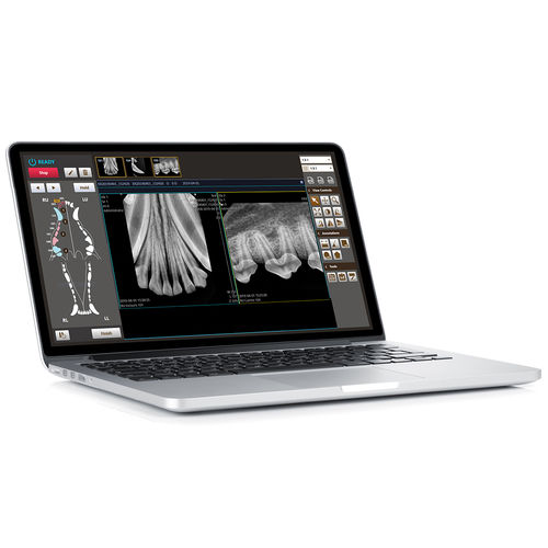 Logiciel pour imagerie dentaire - MyVet Dent™ - my vet imaging - vétérinaire / temps réel