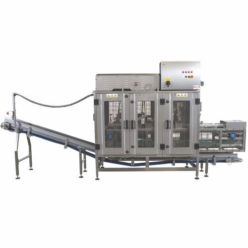 Ligne de transformation de découpe - TK - ABL srl - de kiwis