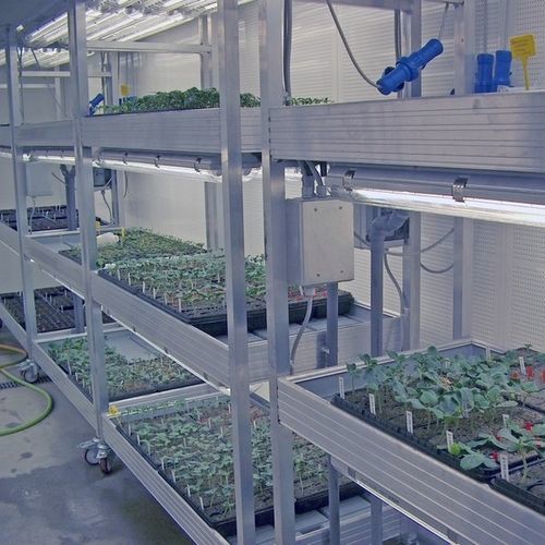 Chambre de culture pour croissance de plantes - MONTI & C Tecnologie del Freddo S.r.l. - pour la recherche