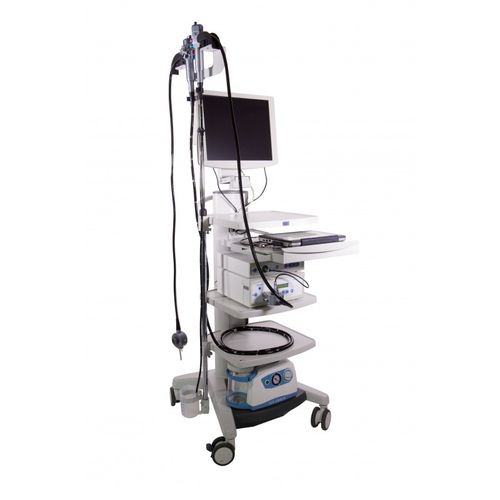 Endoscope vétérinaire souple - EXPERT EQ - optomed - pour chevaux / pour petits animaux / digestive