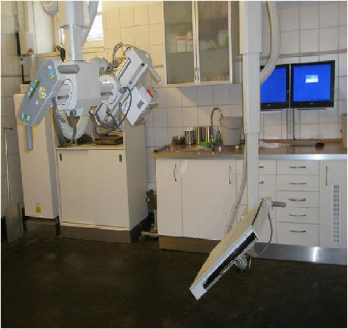 Système de radiographie vétérinaire numérique - Control-X Medical - à film / pour chevaux / plafonnier