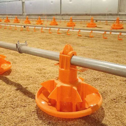 Équipement d'alimentation pour volaille - cnbaichen - de tube / avec contrôleur