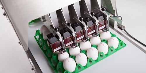 Machine de marquage des oeufs automatique - jet BAN5 - kutlusan