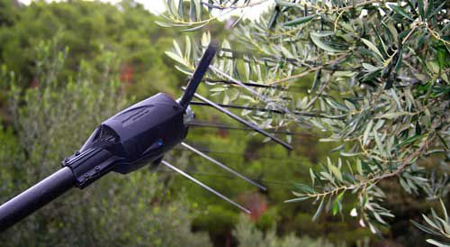 Vibreur à olives pneumatique - ASQUINI - tornadosprayers