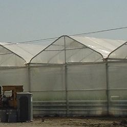 Bâche pour serre - INDASOL CRYSTAL - Solplast S.A. - anti-UV / effet thermique / effet cooling