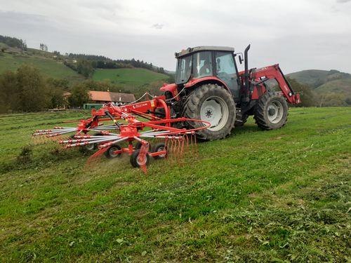 Andaineur rotatif - BL series - BILANAGRICOLA S.L. - à dépose latérale / bi-rotor