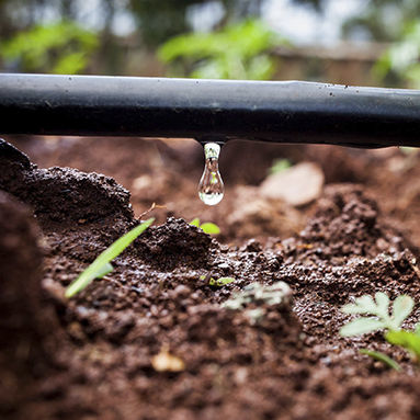 système d'arrosage goutte-à-goutte au sol - Hyma Plastic