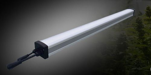 Éclairage pour serre - Solify Uni - HarveLite Lighting - à LED / pour intérieur