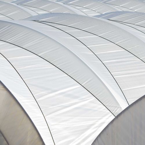 Serre multi tunnel - SIMPLE - TÉCNICAS SANJORGE SL - de production / en plastique / avec structure en acier