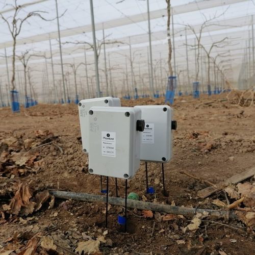 Capteur d'humidité pour sol - Plantae - de température / de conductivité électrique