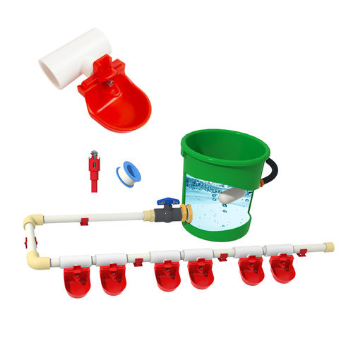 Système d'abreuvement pour volaille - Cangzhou Phoenix Breeding Equipment Co., Ltd. - bol / automatique / en acier inoxydable