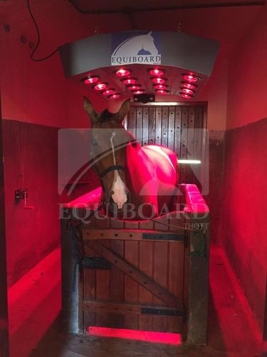 Solarium équin - EQUIBOARD