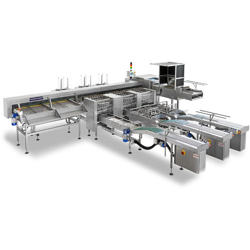 Calibreur à oeufs - VEGA PLUS - Sime-Tek S.p.A. - automatique / pour l'inspection