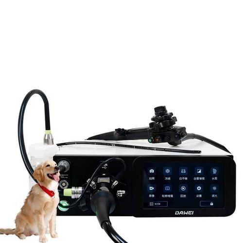 Endoscope vétérinaire souple - AEG-200 - Dawei Veterinary Medical (jiangsu) co., ltd. - pour caprins / pour petits animaux / pour bovins