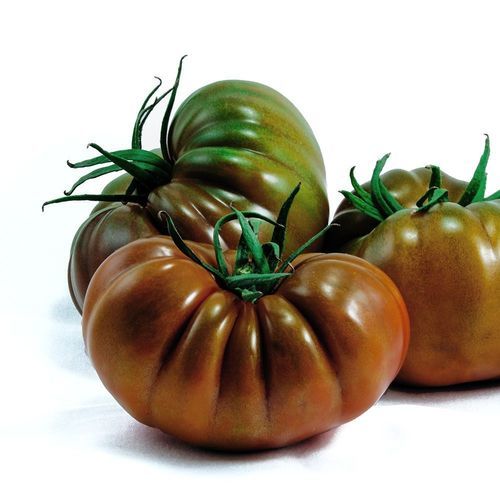 Semence de tomate rouge - KUNURI - Manier Seeds - demi-précoce / pour culture sous serre