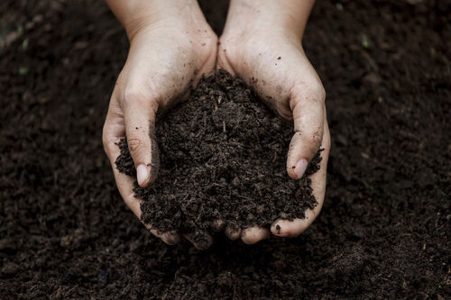 Amendement compost - Mushroom  - Mineravi - pour structurer le sol / pour gazon / fumier