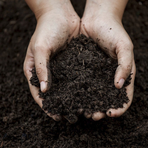 Amendement compost - Bio Terra Mix  - Mineravi - organique / pour structurer le sol / de fertilité des sols