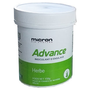 Additif pour l'ensilage bactérie lactique homofermentaire - ADVANCE  - NUTRI-CONCEPT - bactérie lactique hétérofermentaire