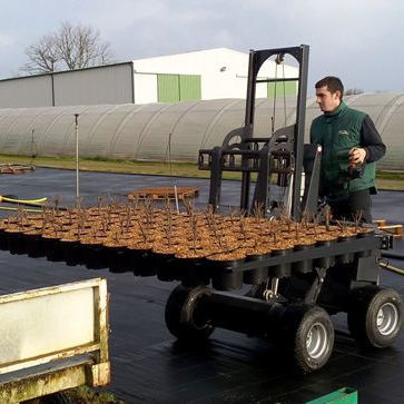 Chariot élevateur pour serre - EXTRAMATE