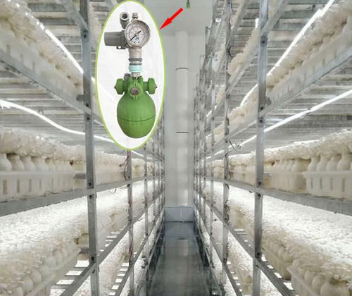 Humidificateur de refroidissement - Qingdao HUAYUN AIR Technology Co., Ltd. - pour la culture de champignons / suspendu