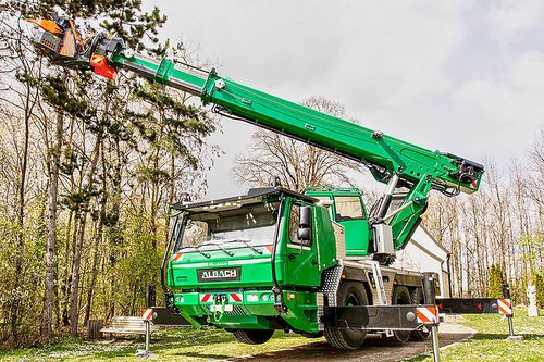Tête d'abattage pour éclaircissement - Albach Maschinen AG