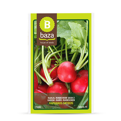 Semence de radis - 7220 - BAZA Seeds Holland b.v.
