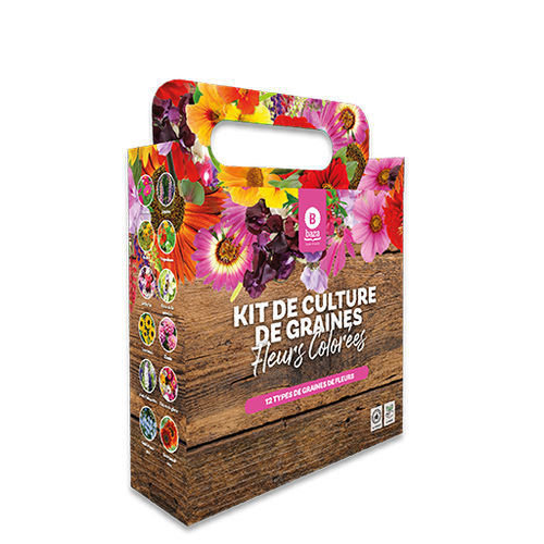 Graine de fleur annuelle - BAZA Seeds Holland b.v. - à mélange de coloris / pour jardin / en sachet