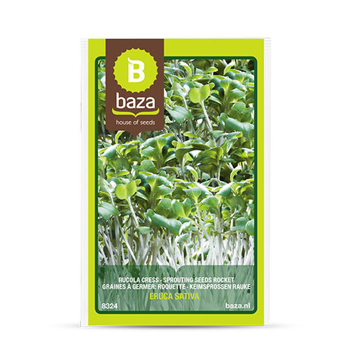 Semence de roquette vivace - 8324 - BAZA Seeds Holland b.v.