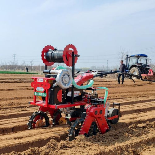 Semoir de précision pneumatique - 2BSR-2H - Qingdao Dashun Jingfeng Agricultural Machinery Co., Ltd. - à 2 rangs / légumière / à conducteur marchant