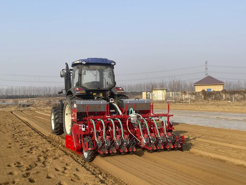 Semoir de précision pneumatique - 2QS-8H2L - Qingdao Dashun Jingfeng Agricultural Machinery Co., Ltd. - à 8 rangs / légumière / avec attelage trois points
