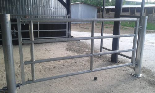 Barrière d'élevage - GATG409 - AHI - FARM CAMARA - pour stabulation / pour veaux / en métal