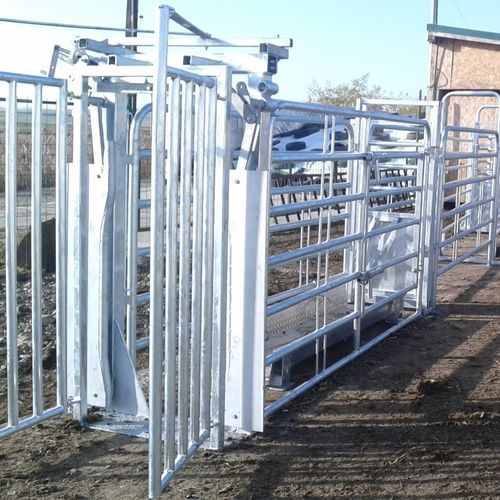 Couloir de contention pour bovins - SORA16.6000 - AHI - FARM CAMARA - robuste / vétérinaire / de triage