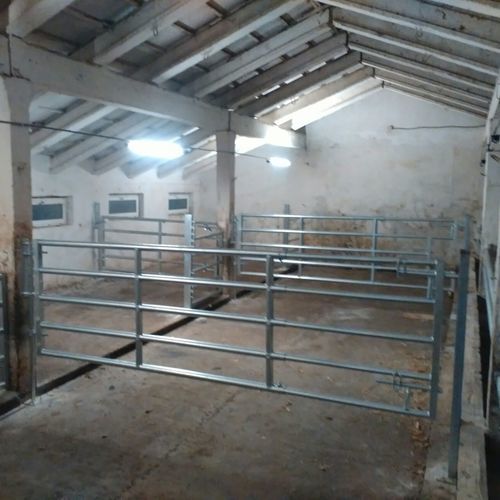 Barrière d'élevage - GATG426 - AHI - FARM CAMARA - pour stabulation / pour vaches / en métal
