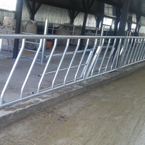 Cornadis pour bovins - FEEEQ 77000 - AHI - FARM CAMARA - autobloquant / oblique / à structure tubulaire