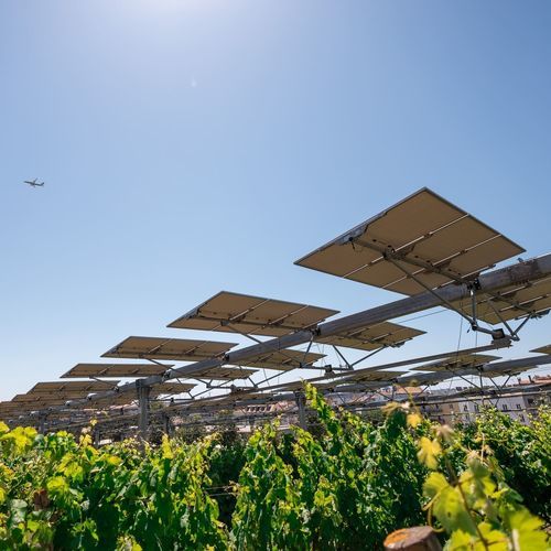Structure agrivoltaïque pour culture - Agrovoltaico® 3D/2D - REM TEC SRL