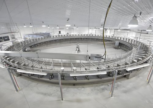 Salle de traite rotative - NEMA4300 - NewEra Milking - pour vaches / contrôle automatique d'entrée / sortie