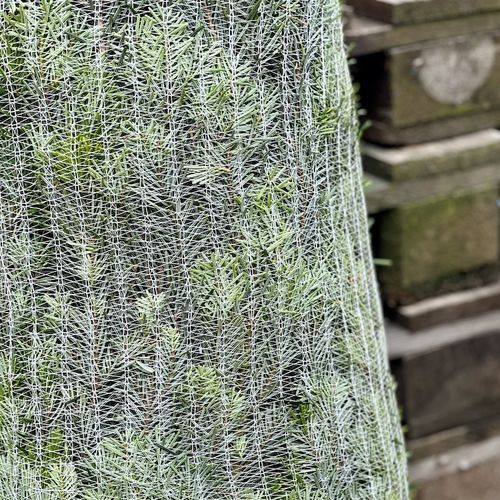 Filet de protection - Naturnetz GmbH - d'emballage / agricole