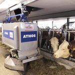 robot d'alimentation pour bovins