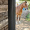 Brosse Chevaux Grattoir À Sueur De Nettoyage Cheval Râteau Poils Pour