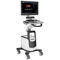 échographe vétérinaire portable, avec chariotQBit 9Chison Medical Imaging